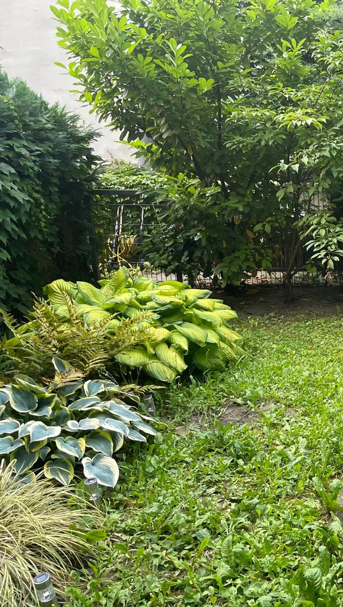 Apartment Mit Logia Und Kleinen Garten In Zentraler Lage 2 ウィーン エクステリア 写真